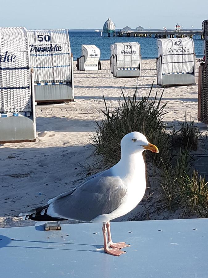 Ferien Auf Zwei Ebenen In Der Moewenkoje - Tierfreundlich Grömitz Exterior foto